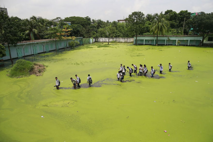 Дети идут по затопленному полю, Бангладеш. Из-за наводнения и токсичных отходов промышленных предприятий вода стала зелёной. Автор: Suvra Kanti Das.