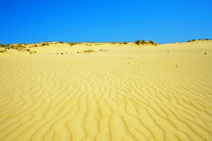 Песчаная арена, раскинувшаяся в Цюрупинском районе Херсонской области.