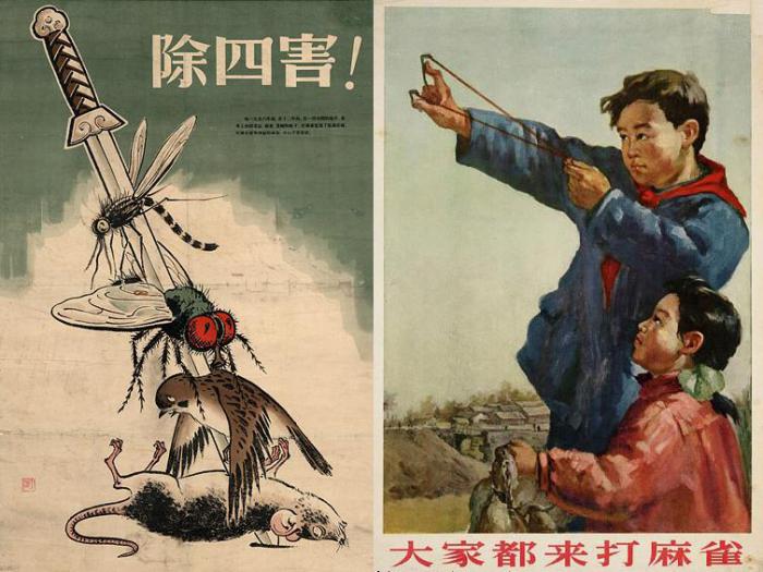 Китайские плакаты, призывающие уничтожать «четырех вредителей». | Фото: beekoz.fr.