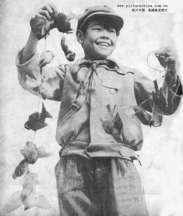 Мальчик со связкой убитых птичек. | Фото: liveinternet.ru.