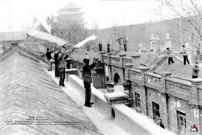 Китайцы сгоняют птиц с крыш домов. | Фото: fishki.net.