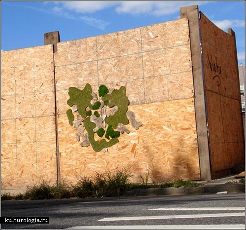 Зеленое граффити Эдины Токоди