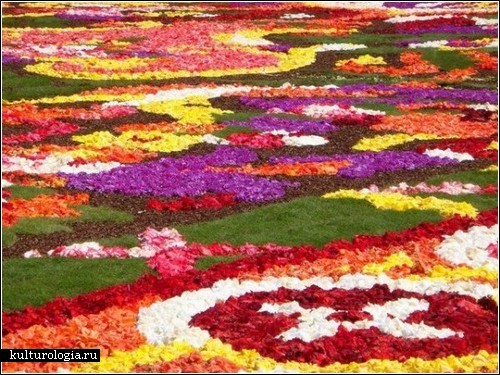 Бельгийские ковры из цветов