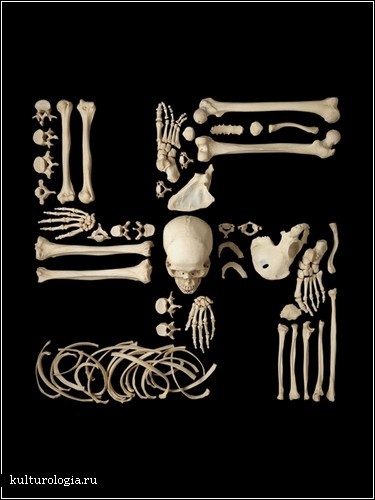 «Остановите насилие» Франсуа Роберта: призыв, сделанный из человеческих костей
