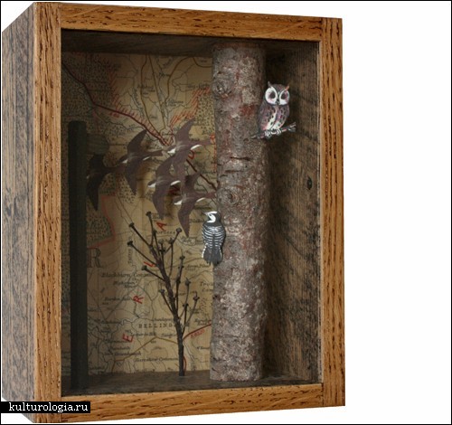 За стеклом: миры в коробках от Джона Дилнота