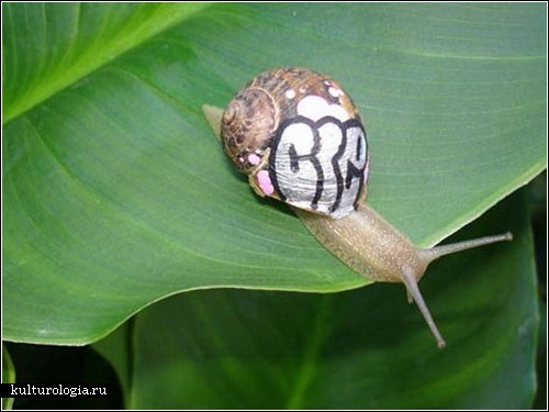 «Inner City Snail»: урбанистические моллюски от Slinkachu