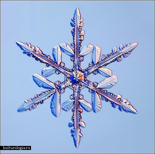 Фотографии снежинок от Кеннета Либбрехта