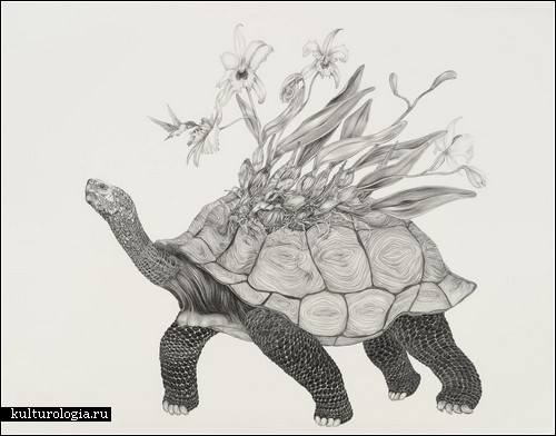 Животные + растения: рисунки карандашом от Тары Такер