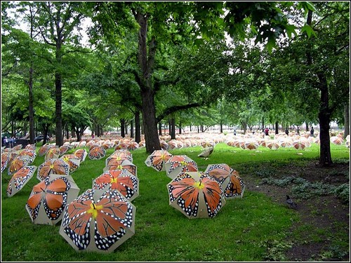 Зонты и бабочки на Манхэттене. Инсталляция Виктора Мэтьюза