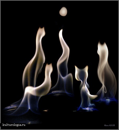 Живое пламя Адиля Кусова. Фототворчество