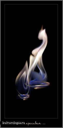 Живое пламя Адиля Кусова. Фототворчество