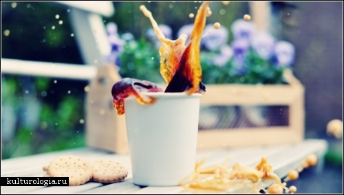 Фотопроект Cookie splash! от любителей разбрызгивать утренний кофе