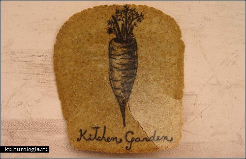 Иллюстрации на тостиках от Ксимены Ескобар (Ximena Escobar)