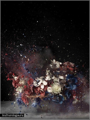 Взрывающиеся цветы. Фотофилософия Ори Гершта  (Ori Gersht)