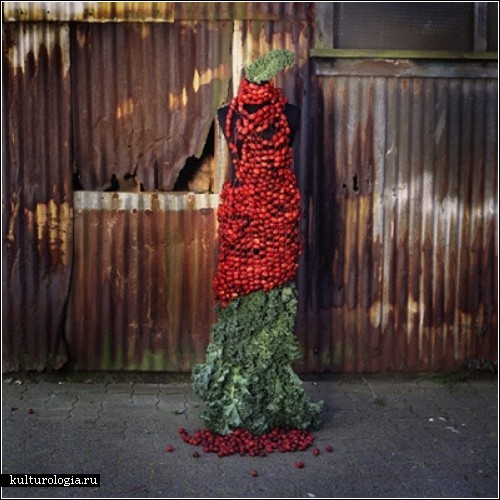 «Weedrobes» - одежда из сорняков. Экологически чистая фэшн-линия от  Николь Декстрас (Nicole Dextras)