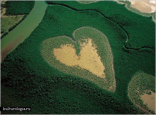 Сердце из мангровых деревьев, Новая Каледония