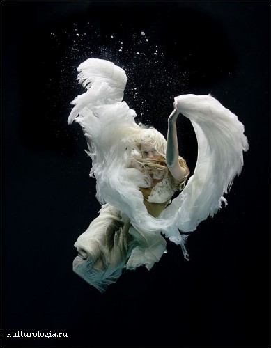 Подводный мир красоты и грации от фотографа Зены Холловей  (Zena Holloway)