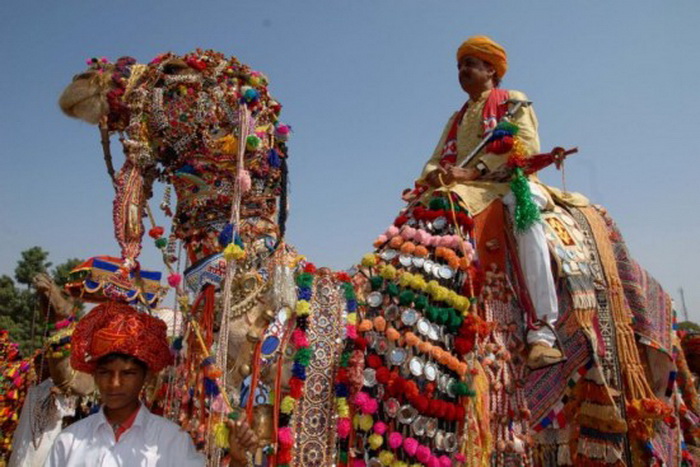 Bikaner Camel Festival: яркие аксессуары - неотъемлемый атрибут конкурса верблюжьей красоты
