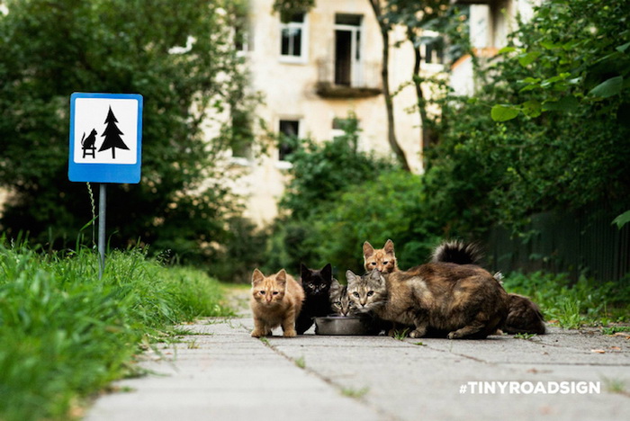 Дорожный знак, напоминающий о защите животных