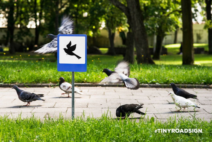 Для голубей знак установлен на тротуаре 
