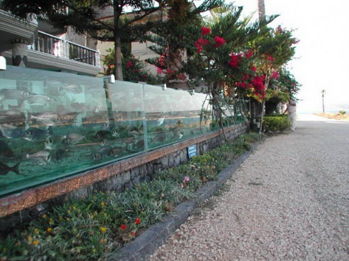 Бизнесмен Mehmet Ali Gokceoglu построил необычный аквариум 8 лет назад