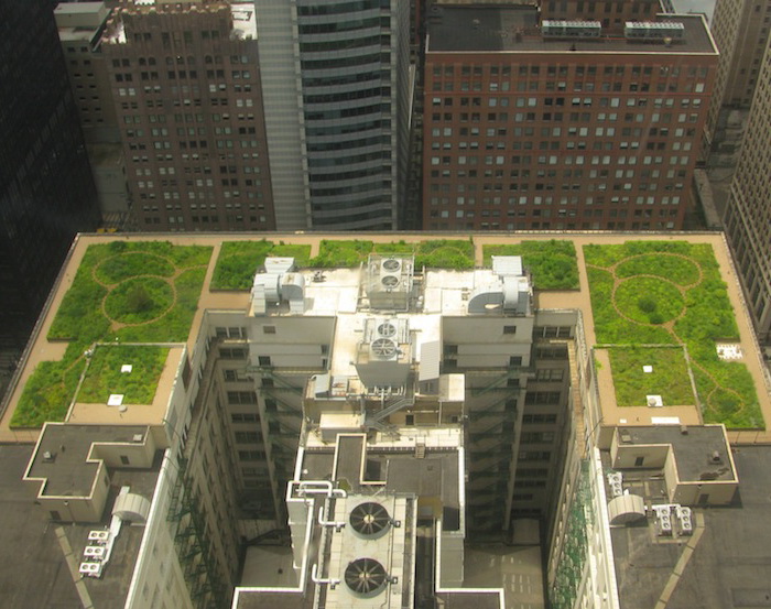 City Hall Rooftop Garden: зеленая крыша в Чикаго