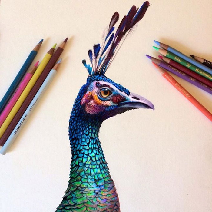Красочные рисунки, выполненные разноцветными карандашами
