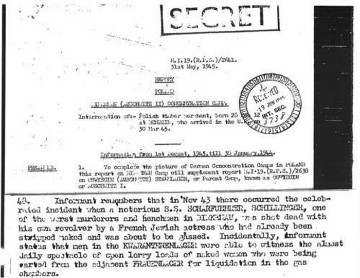 Отчет из архивов американских вооруженных сил, в котором описывается убийство Йозефа Шиллингера. Фото: snopes.com