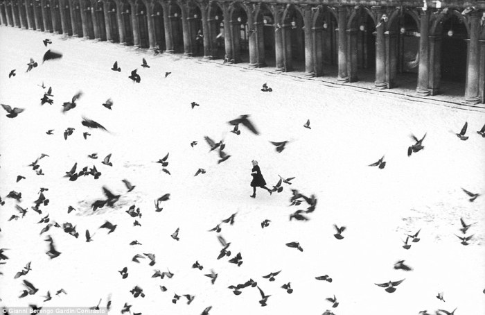 На площади Святого Марка, 1960 год. Фотограф: Gianni Berengo Gardin