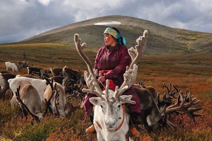 Цаатаны - древние кочевники-оленеводы (Монголия)
