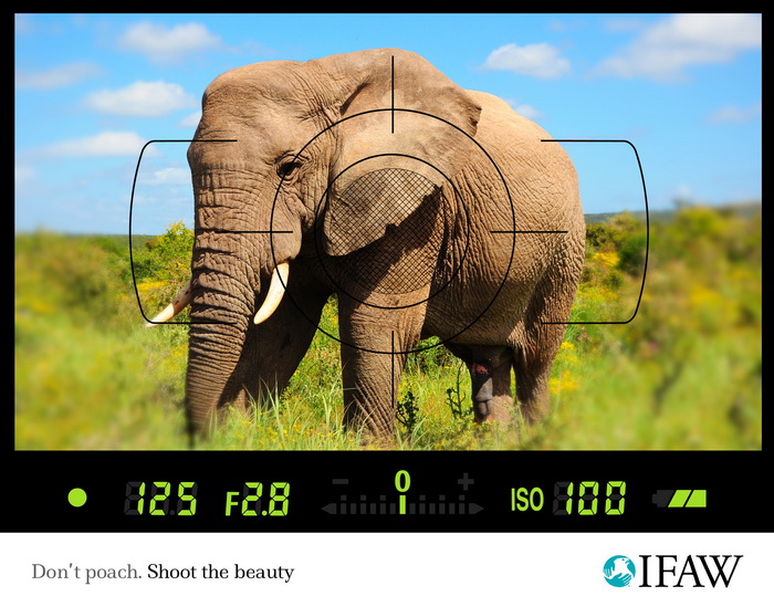 Экологическая реклама Международного фонда защиты животных IFAW против браконьерства
