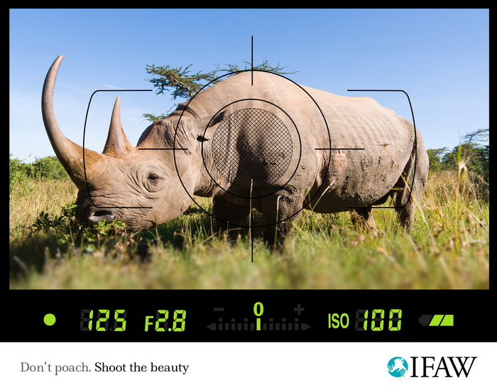 Экологическая  реклама Международного фонда защиты животных IFAW против браконьерства