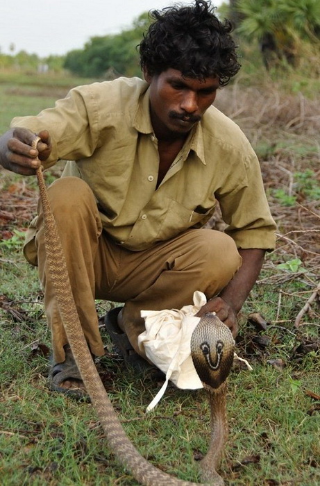 Охотник ирула с мешком для ловли змей. Фото: wildwildworld.net.ua