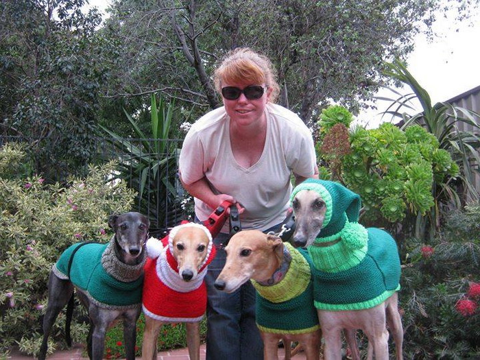 Теплая одежда для собак из приюта