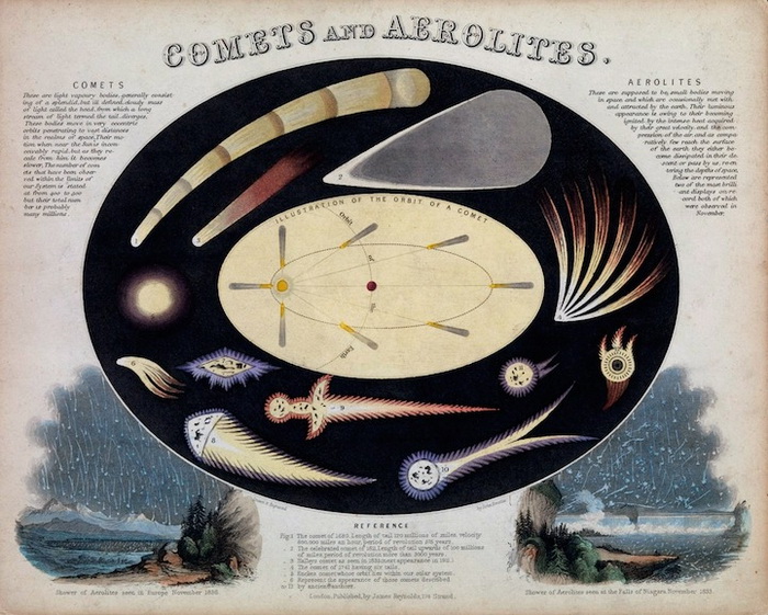 *Кометы и астероиды*. Инфографика Джона Филипса Эмсли (John Philipps Emslie)