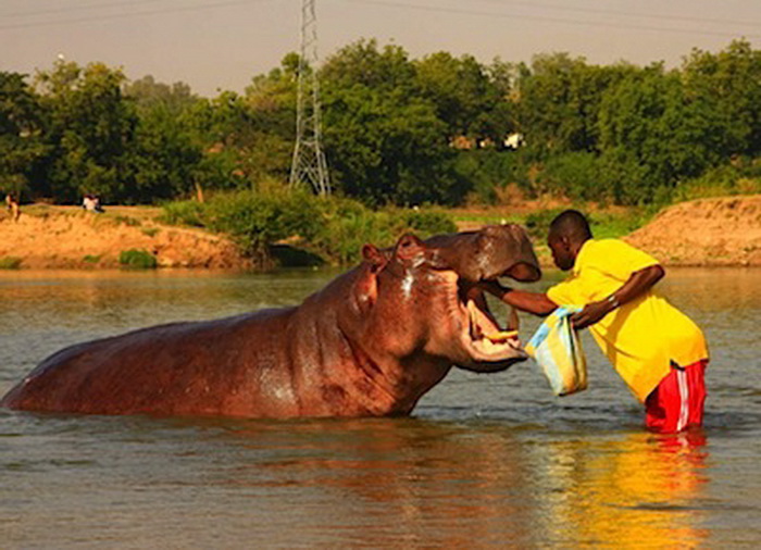 Вся жизнь котоко проходит на воде | Фото: repin.info
