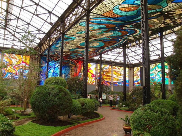 Ботанический сад в Толука-де-Лердо (Мексика)