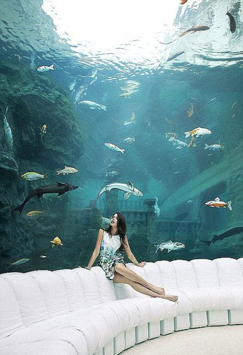 Гигантский аквариум во дворце.