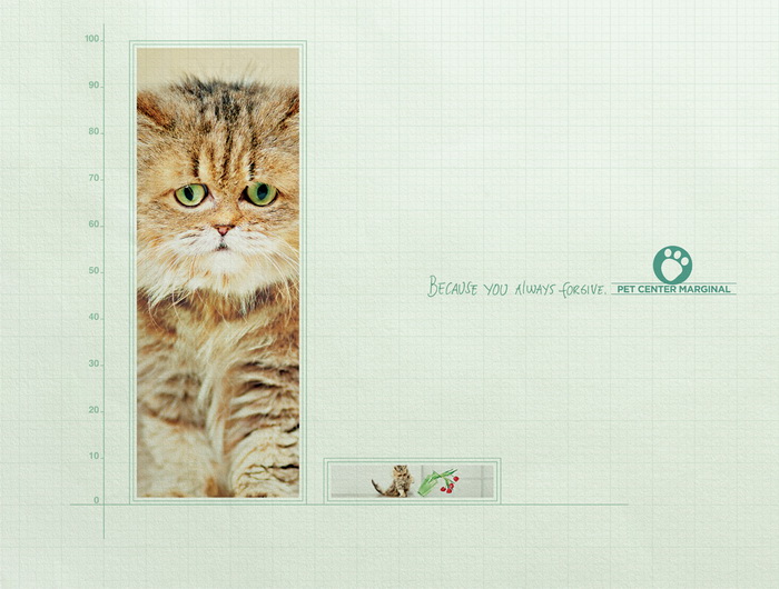 Реклама центра домашних животных Marginal