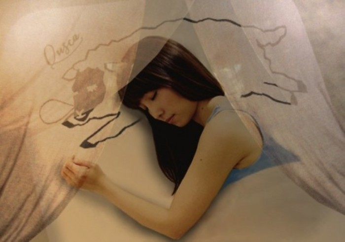 Quska Sleeping Cafe - японское женское кафе для сна