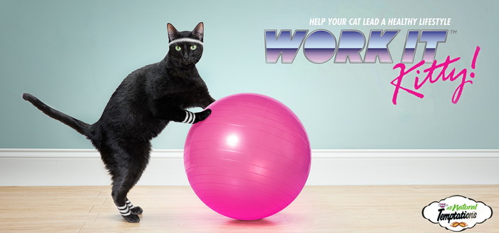 Спортивные коты в рекламе кошачьего корма Temptations Cat Treats