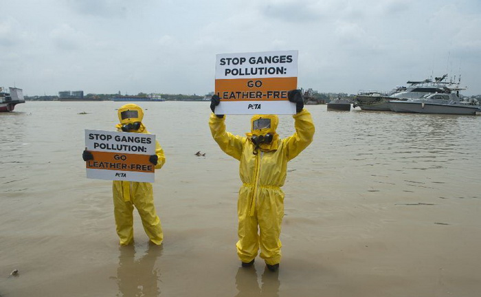Протесты против загрязнения реки Ганг отходами кожевенных фабрик.