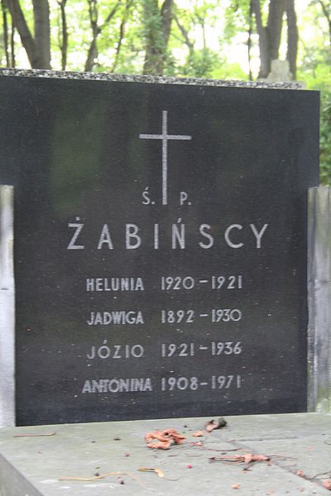 Семейная могила Жабинских.