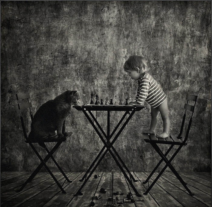 Игра в шахматы. Цикл фотографий о девочке и ее коте от Энди Проха