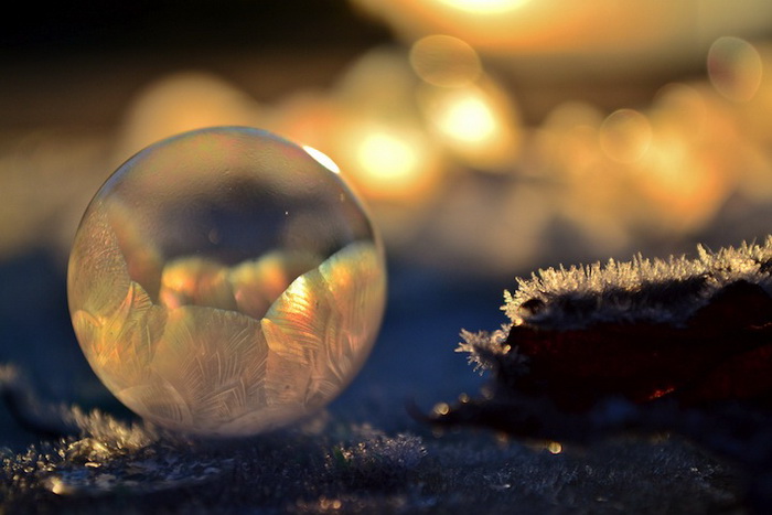 Замерзшие мыльные пузыри на фотографиях Анджелы Келли (Angela Kelly)