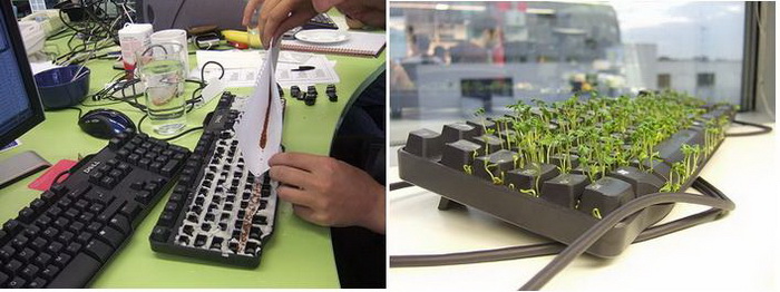 Зеленая лужайка вместо клавиатуры: розыгрыш для коллеги по работе