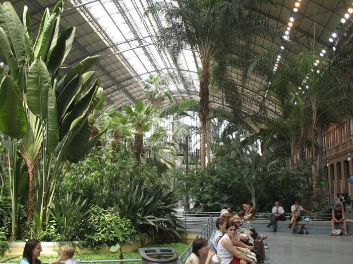 Ботанический сад на вокзале Atocha в Мадриде