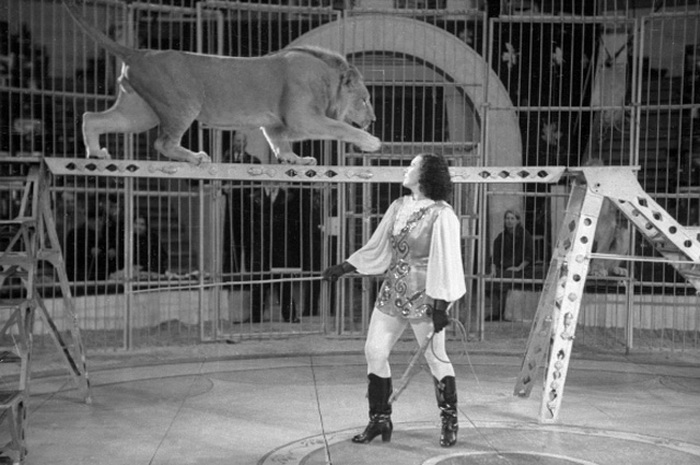 Выступление с дрессированными львами, 1957 год | Фото: ria.ru