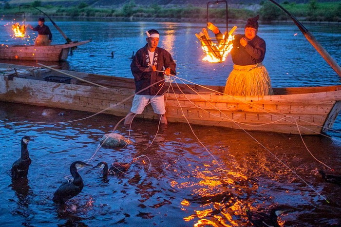 Ukai: древняя рыбалка с бакланами
