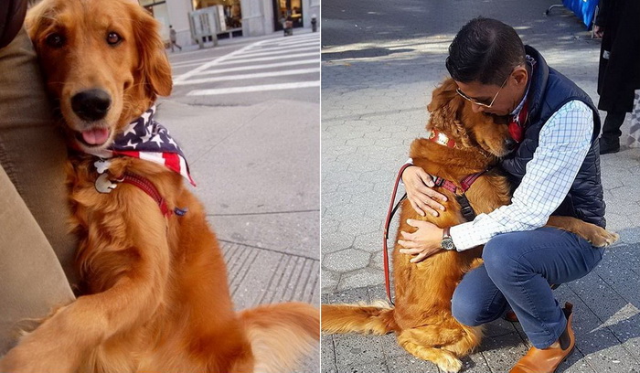 Лубутен - пес из Нью-Йорка, который обожает обнимать людей